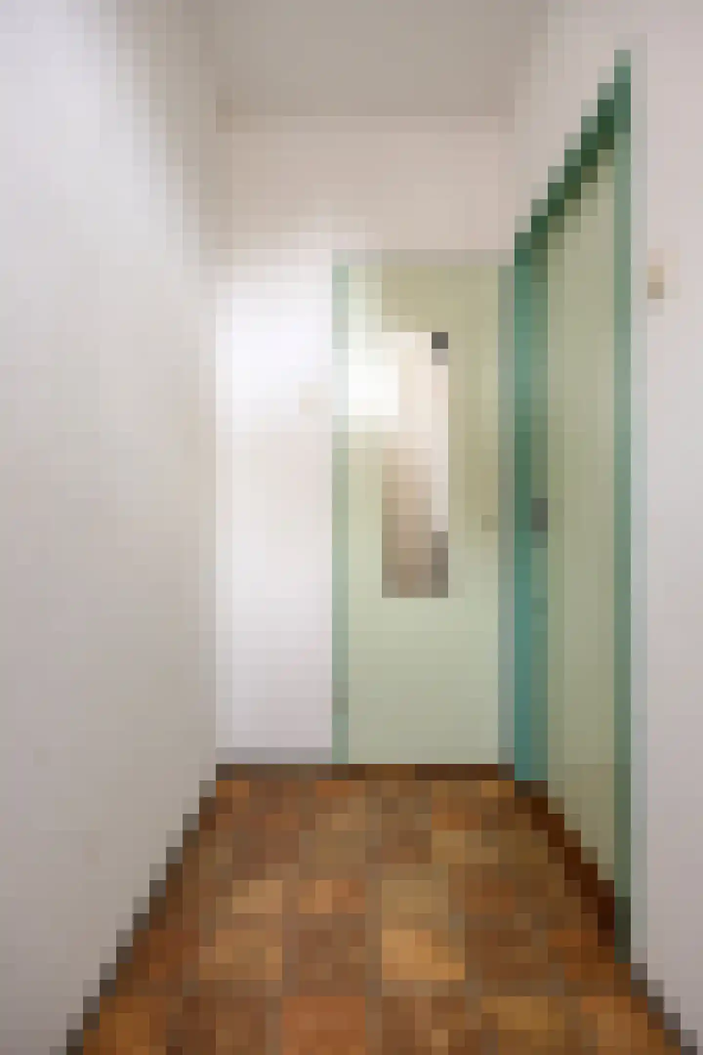 1e Scheepvaartstraat 49 Hoek van Holland thumbnail 10