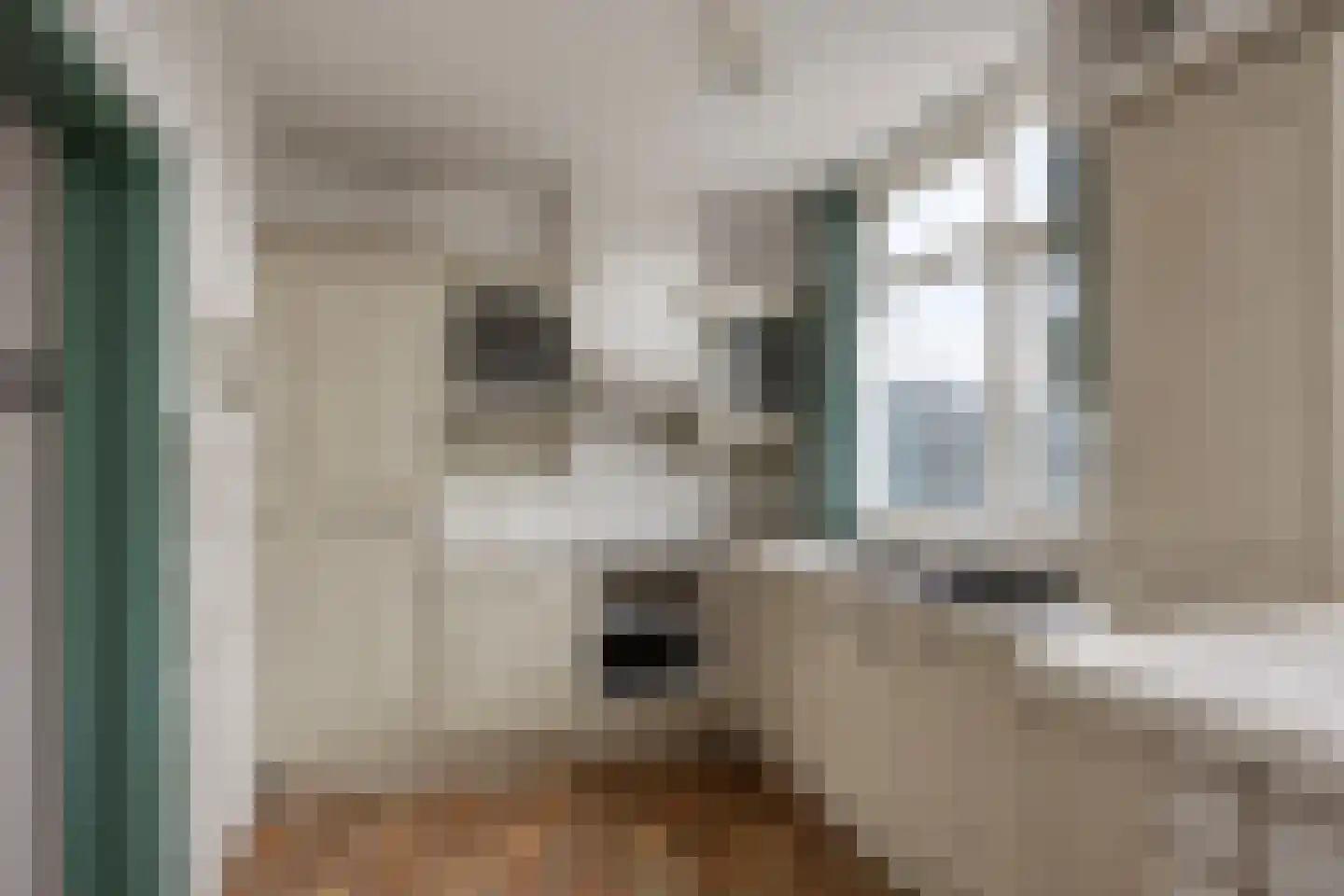 1e Scheepvaartstraat 49 Hoek van Holland foto 3