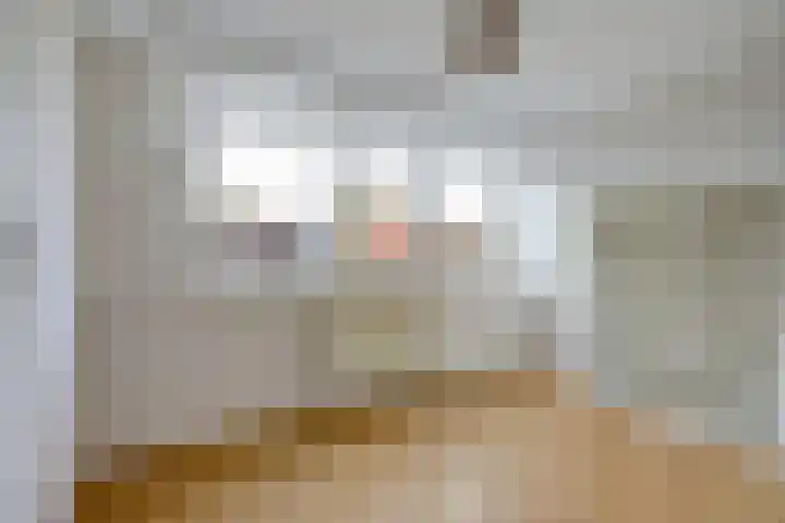 1e Scheepvaartstraat 8 Hoek van Holland thumbnail 17