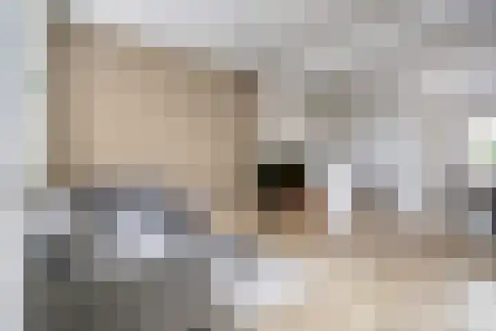 1e Scheepvaartstraat 8 Hoek van Holland thumbnail 4