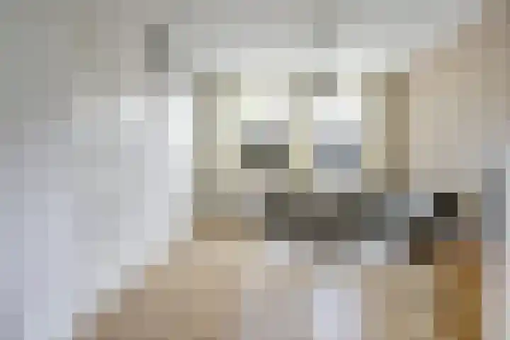 1e Scheepvaartstraat 8 Hoek van Holland thumbnail 5