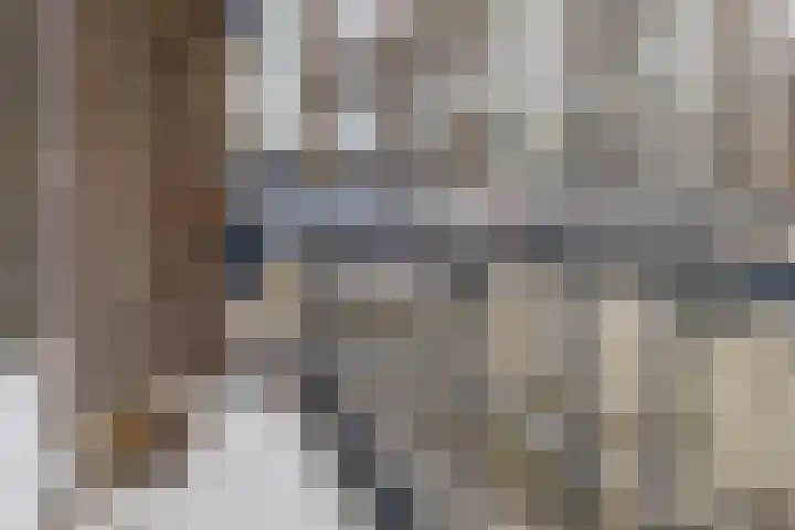 1e Sint-Janshof 12 B Rotterdam thumbnail 24
