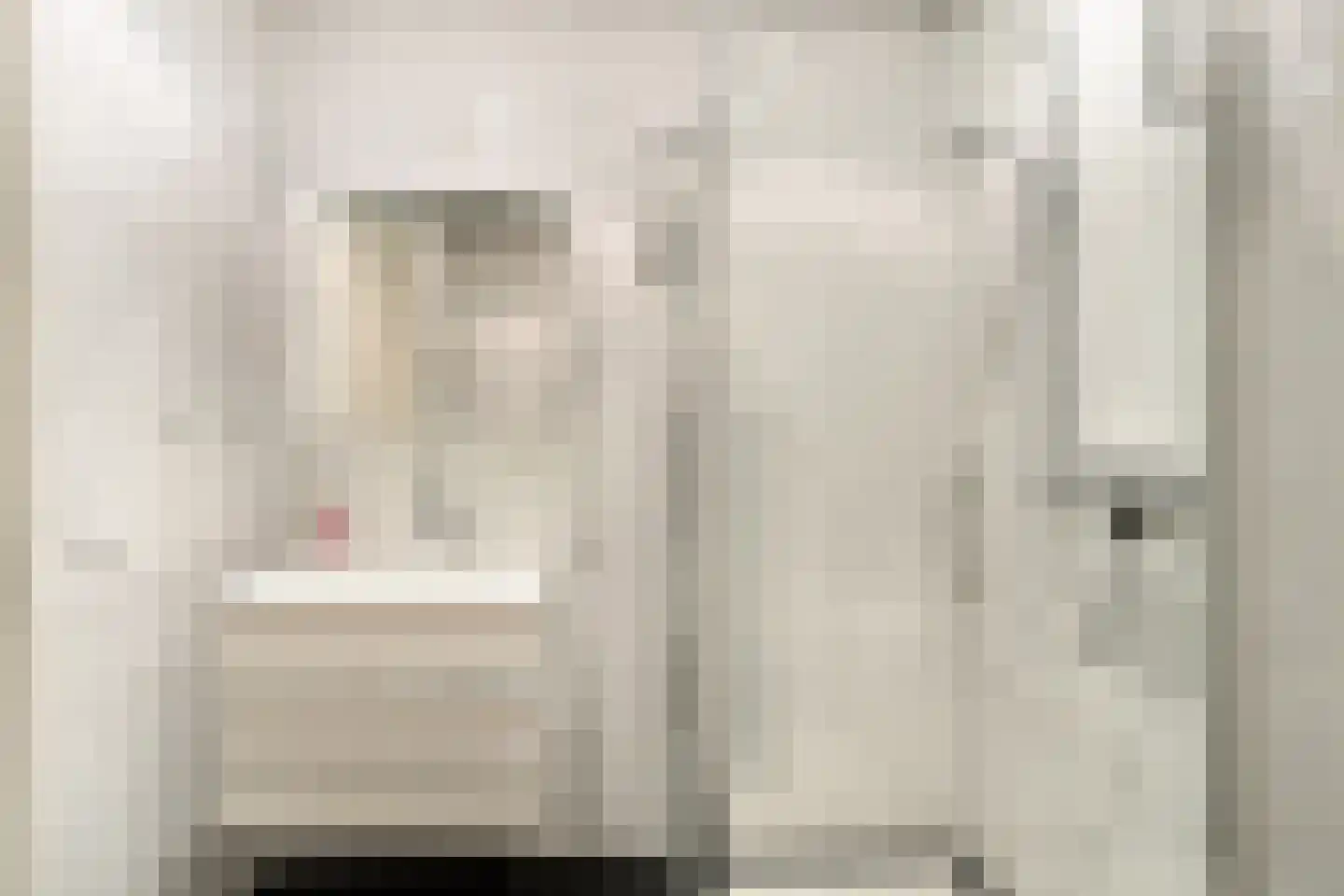 1e Sint Jozefstraat 203 Asten thumbnail 18