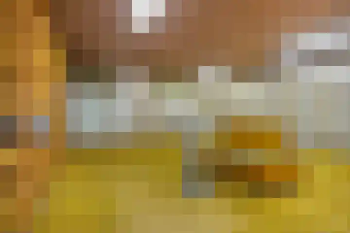 1e Sint Jozefstraat 24 Asten thumbnail 34