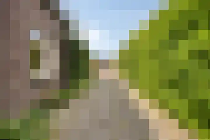 1e Sint Jozefstraat 24 Asten thumbnail 35