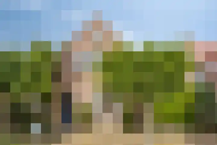 1e Sint Jozefstraat 24 Asten thumbnail 37
