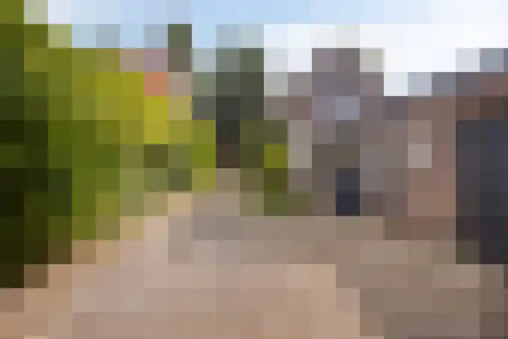 1e Sint Jozefstraat 24 Asten thumbnail 5