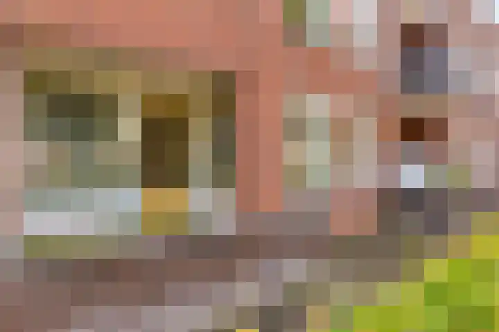 1e Sint Jozefstraat 3 a Asten thumbnail 16