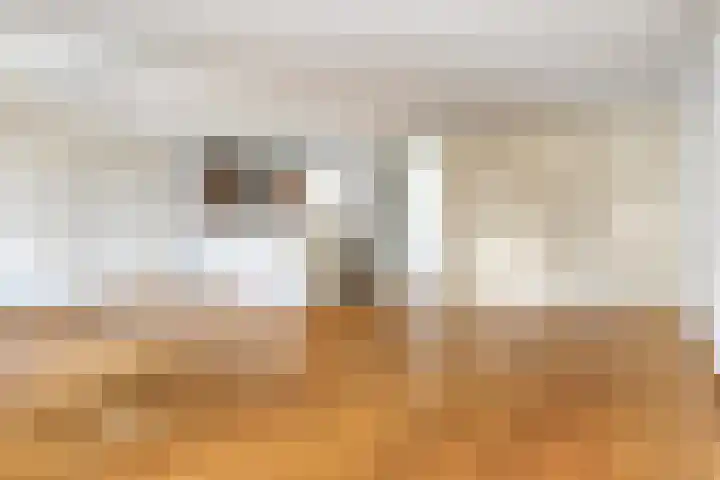 1e Sint Jozefstraat 3 a Asten thumbnail 8