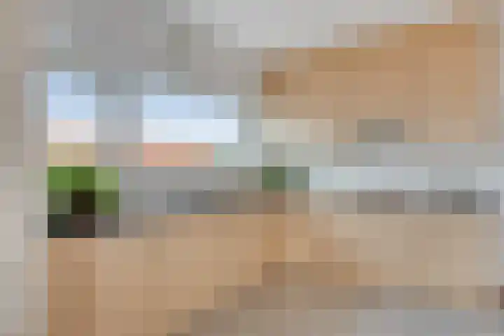 1e Sint Jozefstraat 301 Asten thumbnail 16
