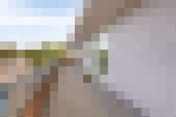 1e Sint Jozefstraat 301 Asten thumbnail 26