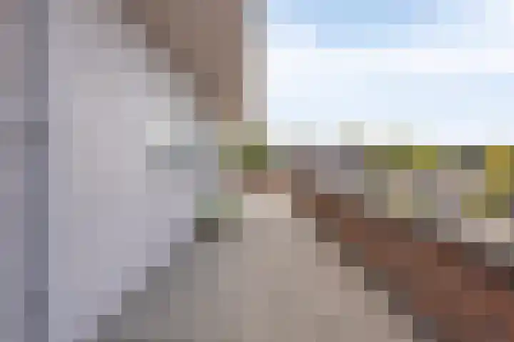 1e Sint Jozefstraat 301 Asten thumbnail 27