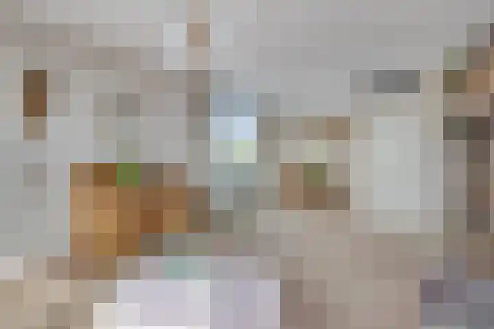 1e Sint Jozefstraat 301 Asten thumbnail 4