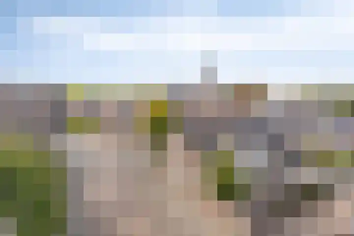 1e Sint Jozefstraat 301 Asten thumbnail 5
