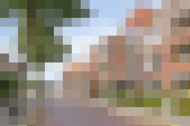 1e Sint Jozefstraat 301 Asten thumbnail 6