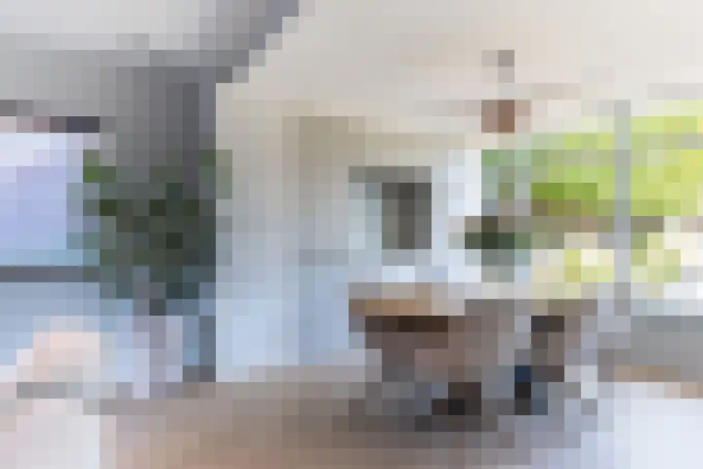 1e Sint Jozefstraat 9 Asten thumbnail 15