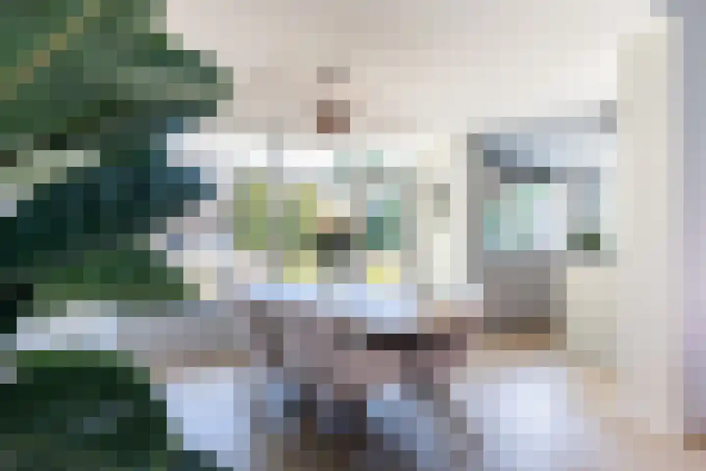 1e Sint Jozefstraat 9 Asten thumbnail 17