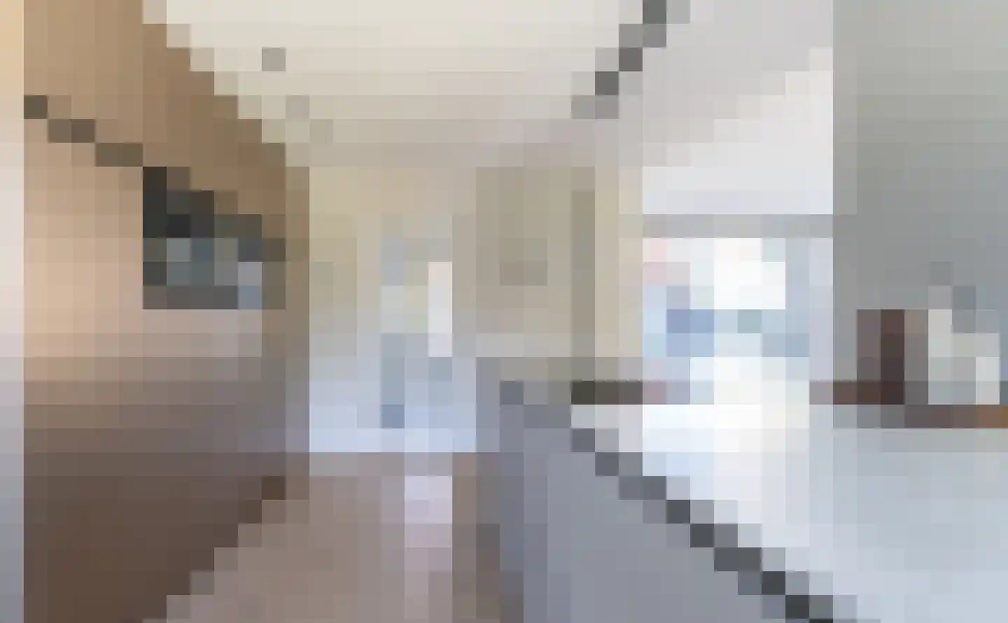 1e Sint Jozefstraat 9 Asten thumbnail 20