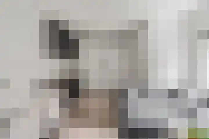 1e Spechtstraat 1 C Utrecht thumbnail 8