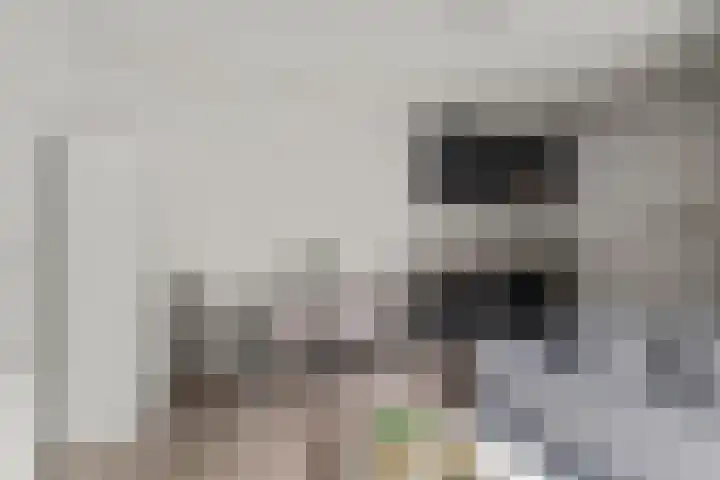 1e Spechtstraat 1 C Utrecht thumbnail 9