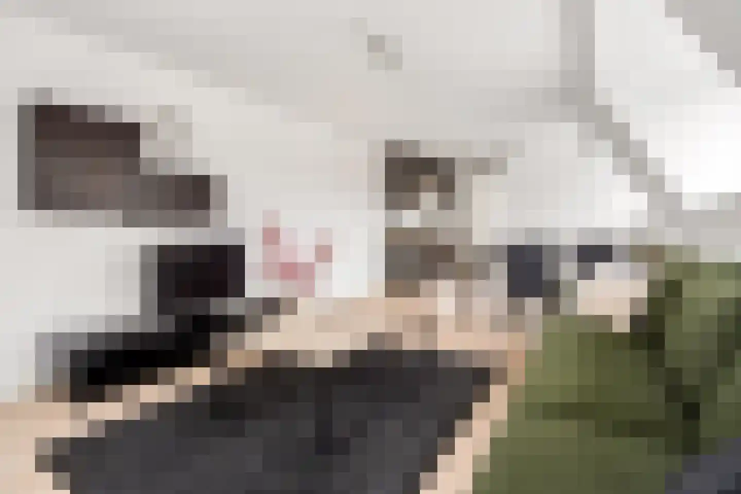 1e Spechtstraat 1 D Utrecht thumbnail 8