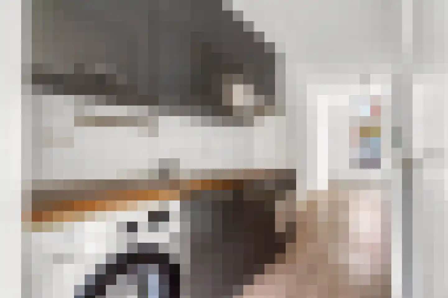 1e Spechtstraat 1 E Utrecht thumbnail 10
