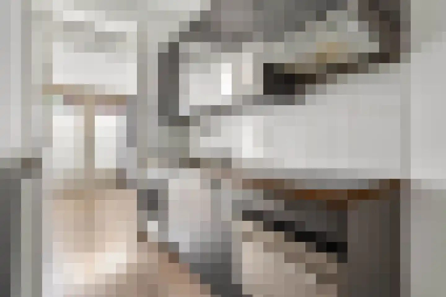 1e Spechtstraat 1 E Utrecht thumbnail 12