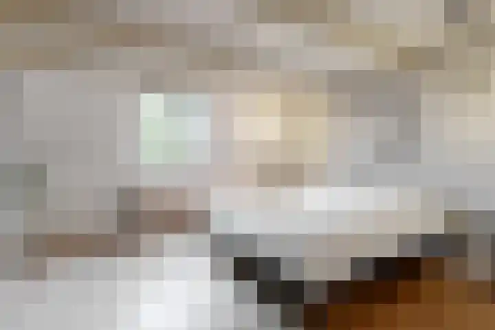 1e Spechtstraat 14 BS Utrecht thumbnail 11