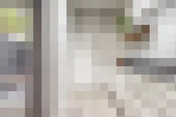 1e Spechtstraat 19 Utrecht thumbnail 12