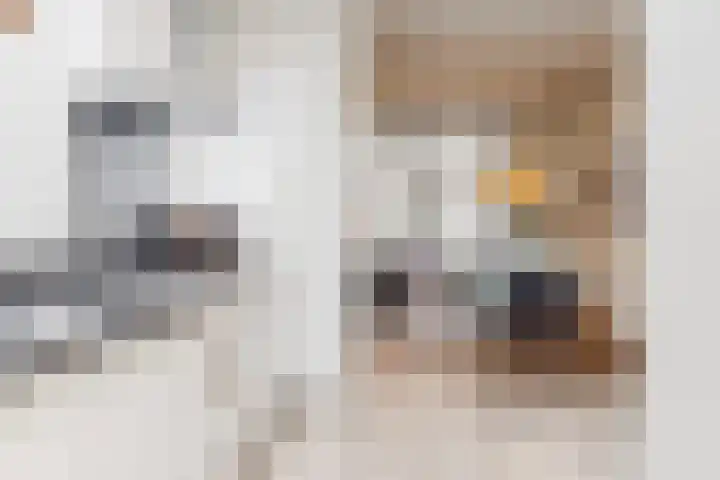1e Spechtstraat 19 Utrecht thumbnail 13