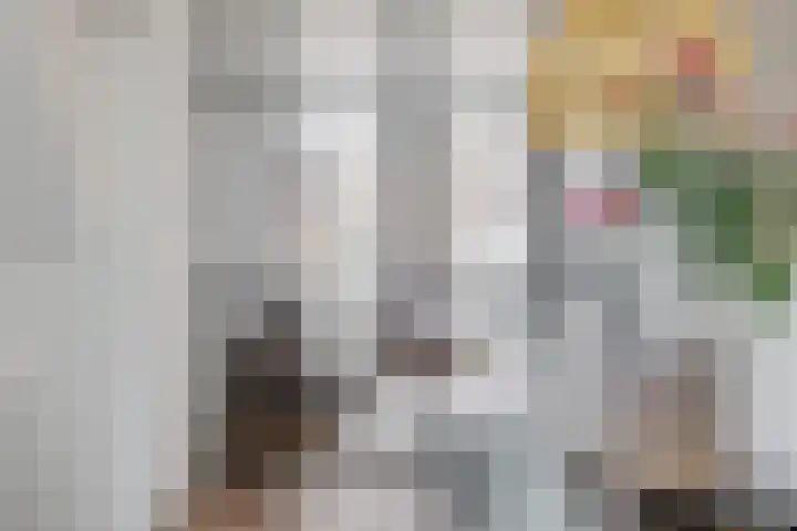 1e Spechtstraat 19 Utrecht thumbnail 8