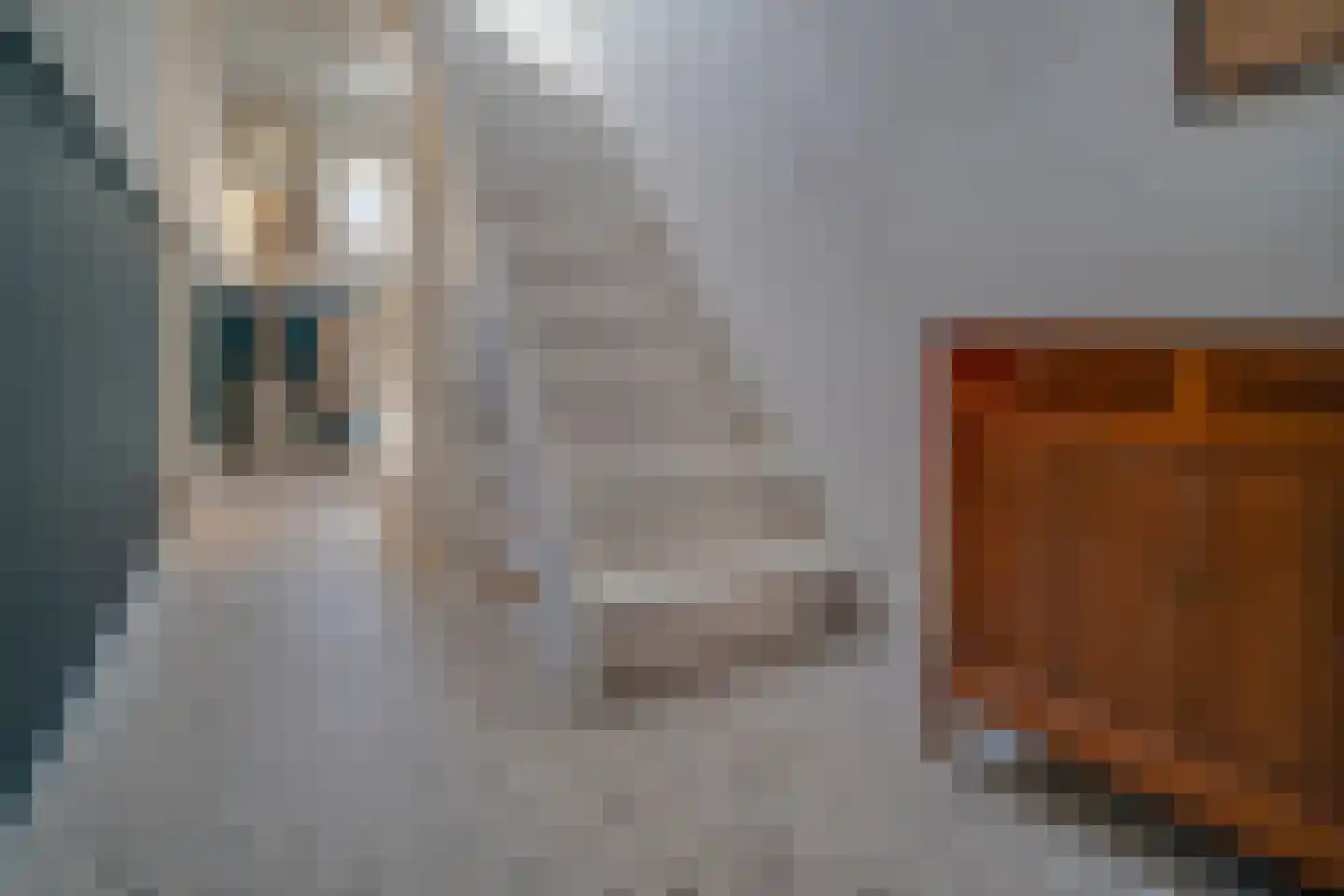 1e Spechtstraat 22 Utrecht thumbnail 25