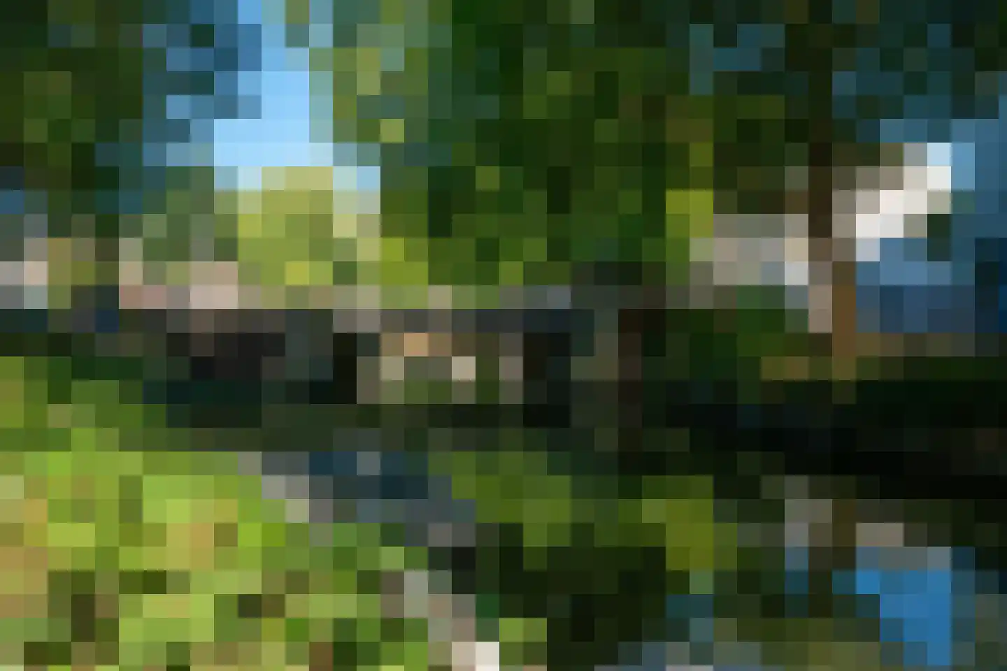 1e Spechtstraat 22 Utrecht thumbnail 39