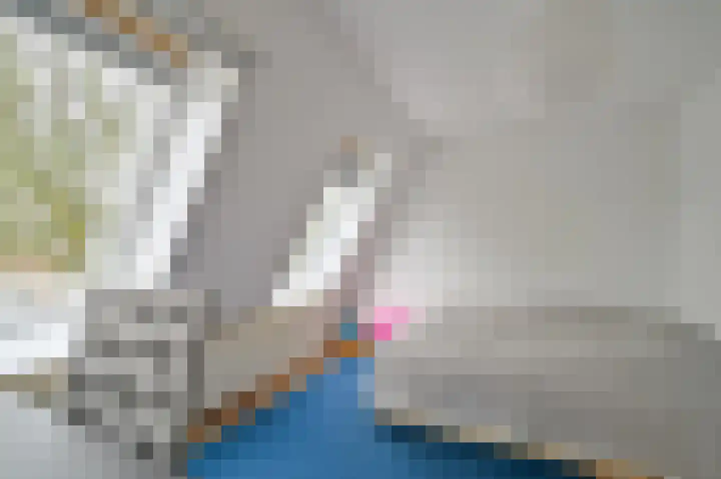 1e Spechtstraat 5 Utrecht thumbnail 39