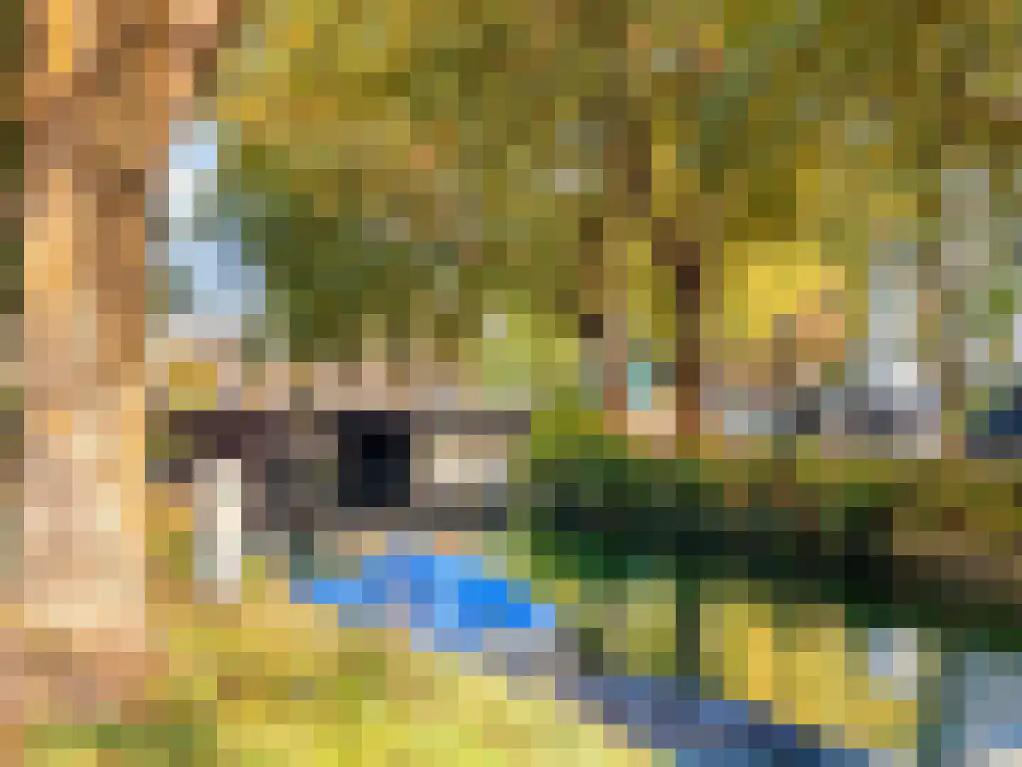 1e Spechtstraat 5 Utrecht thumbnail 44