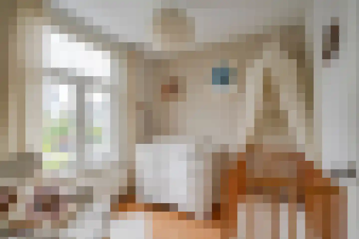 1e Spechtstraat 7 Utrecht thumbnail 20