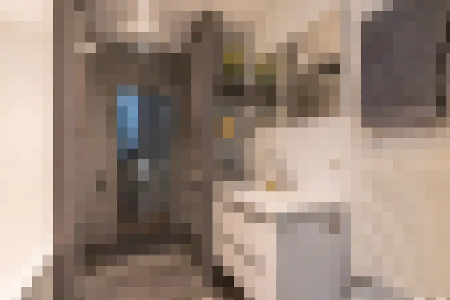 1e Spechtstraat 7 Utrecht thumbnail 21