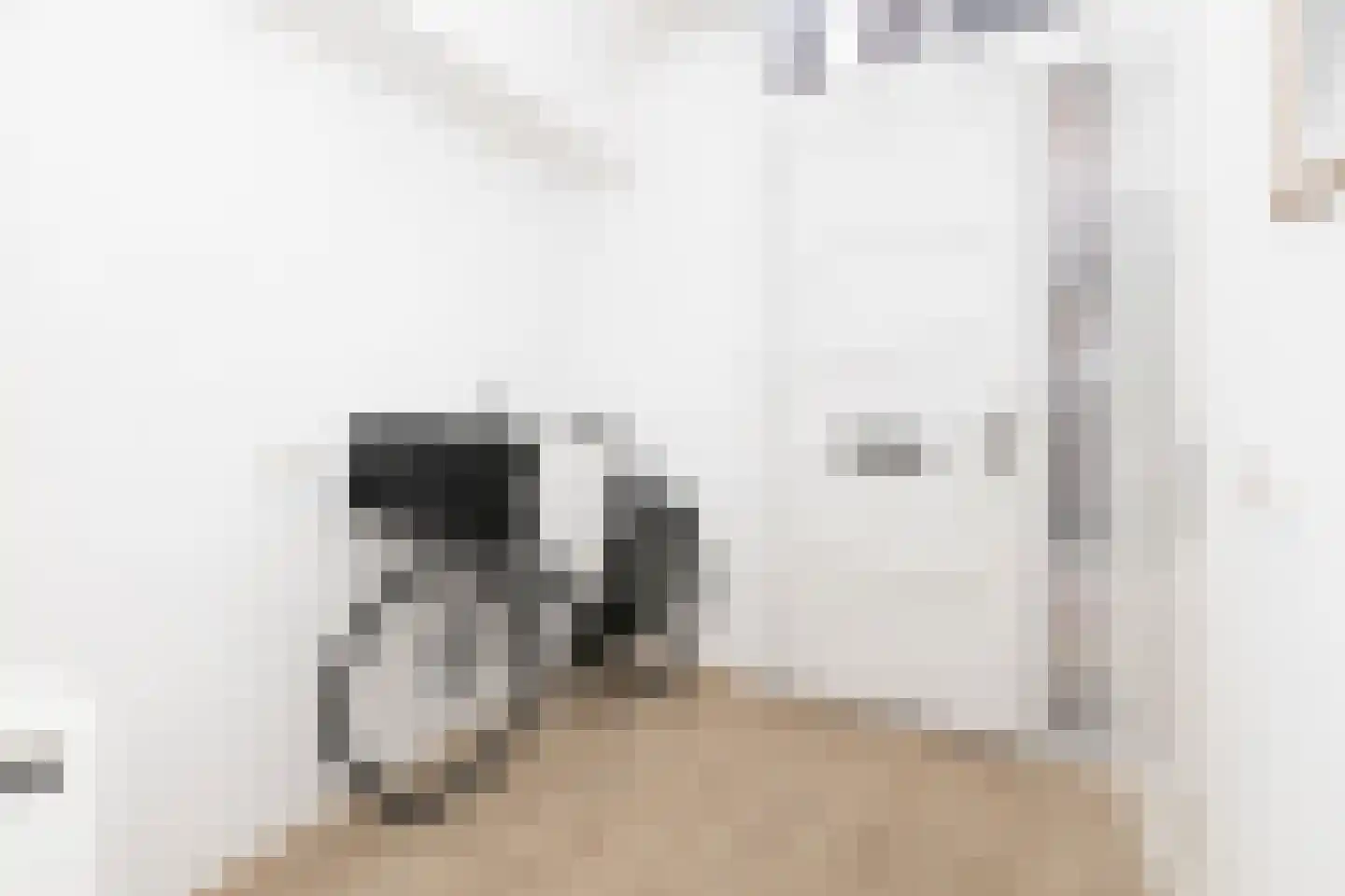 1e Steeg 1 Hattem thumbnail 12