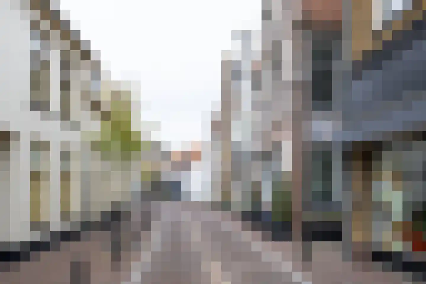 1e Steeg 1 Hattem thumbnail 6