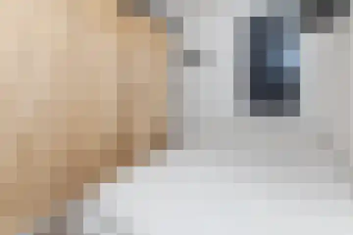1e Steeg 2 B Hattem thumbnail 12