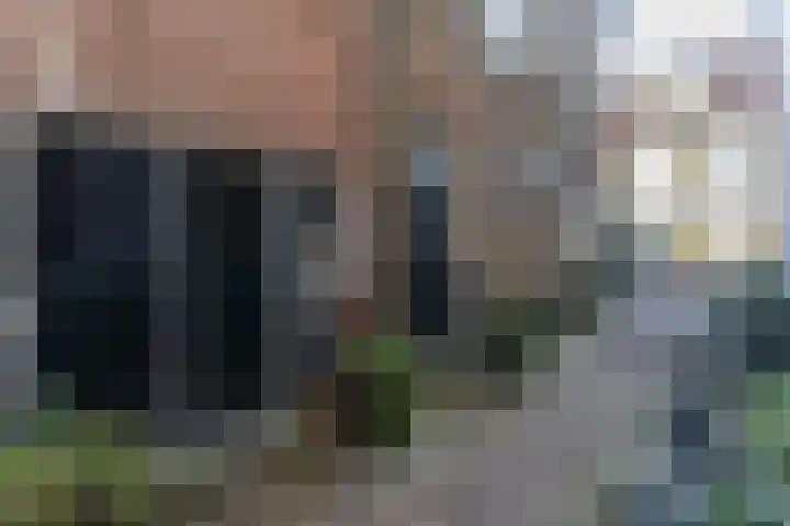1e Steeg 2 B Hattem thumbnail 18
