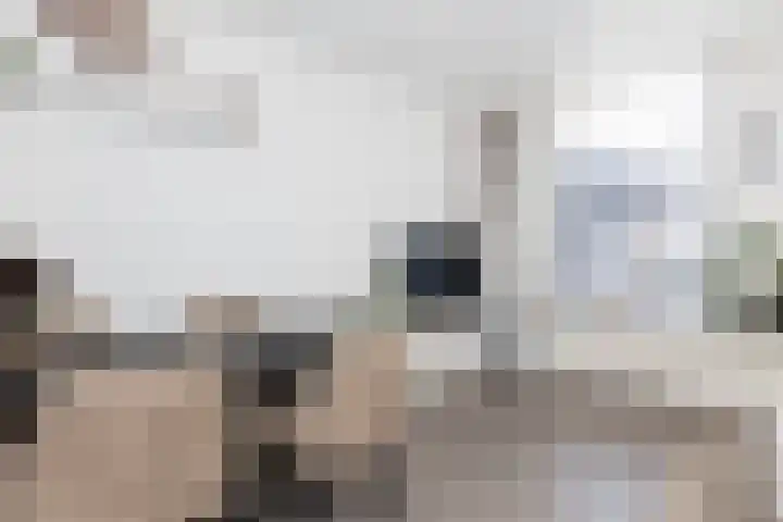 1e Steeg 2 B Hattem thumbnail 9
