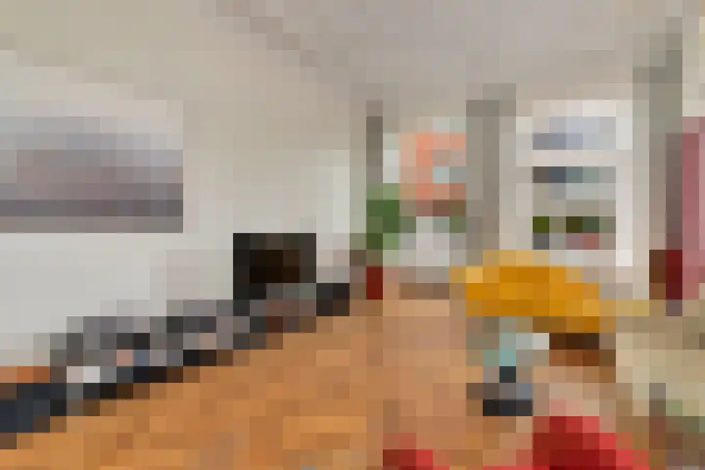 1e Sweelinckstraat 10 Den Haag thumbnail 13