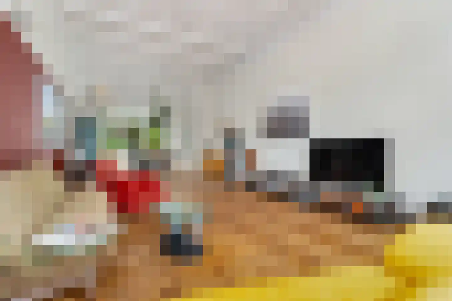 1e Sweelinckstraat 10 Den Haag thumbnail 16