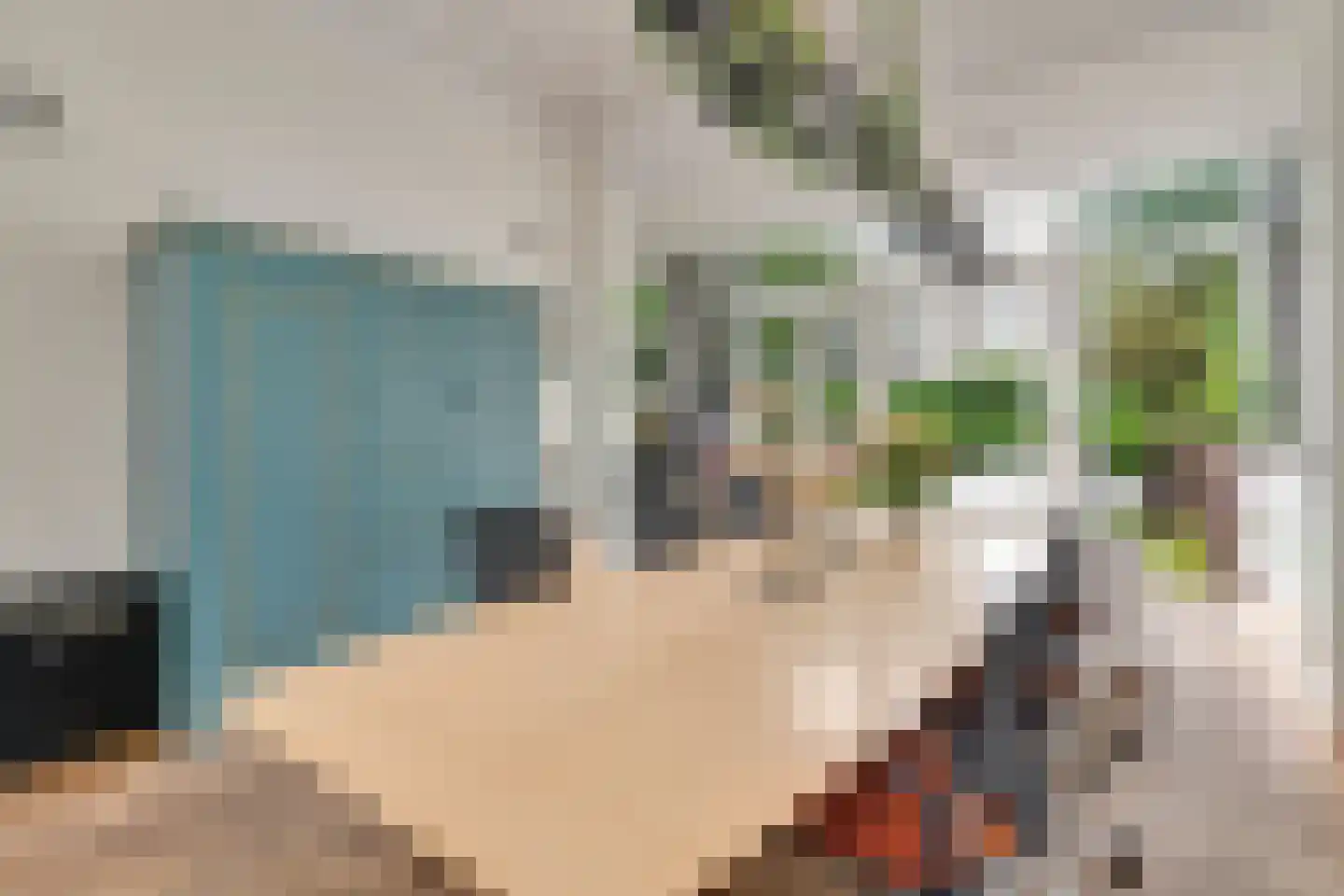 1e Sweelinckstraat 10 Den Haag thumbnail 20