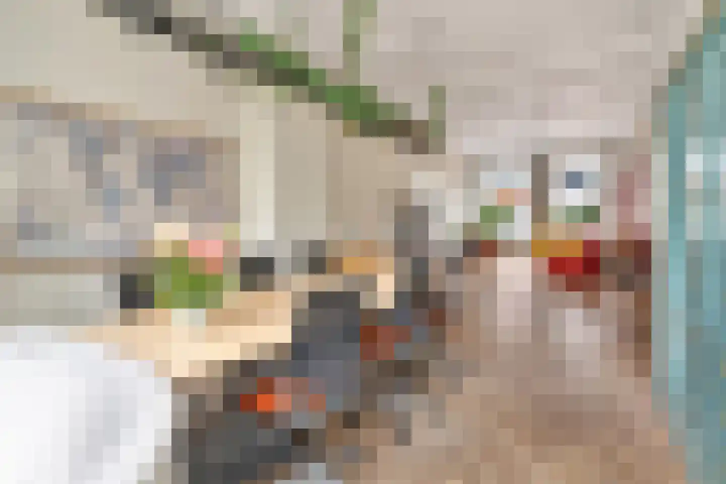 1e Sweelinckstraat 10 Den Haag thumbnail 21