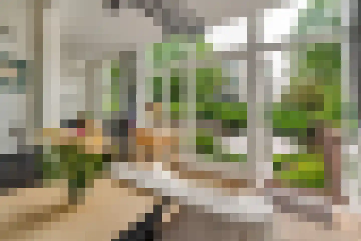 1e Sweelinckstraat 10 Den Haag thumbnail 22