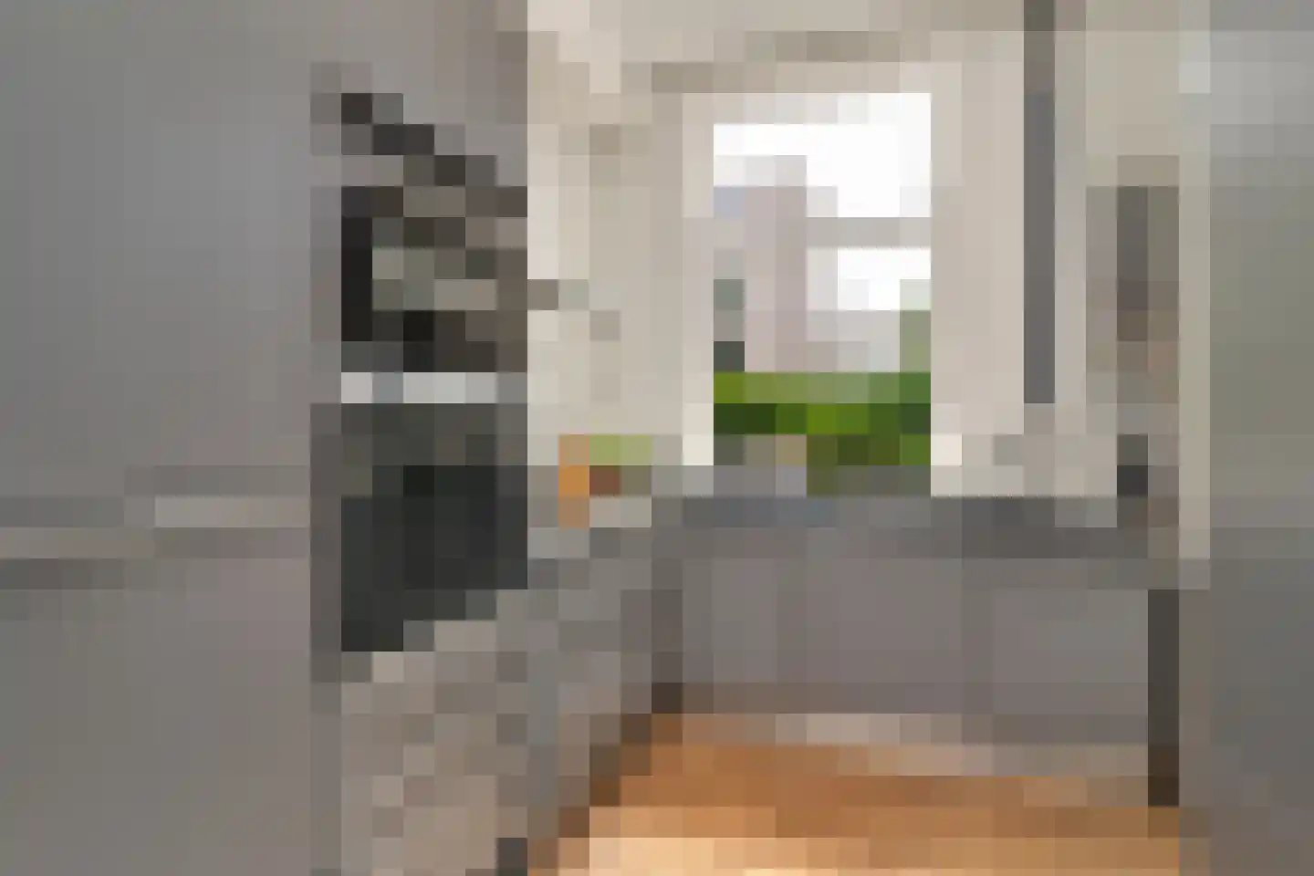 1e Sweelinckstraat 10 Den Haag thumbnail 24