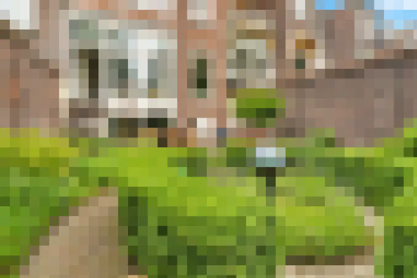 1e Sweelinckstraat 10 Den Haag thumbnail 30