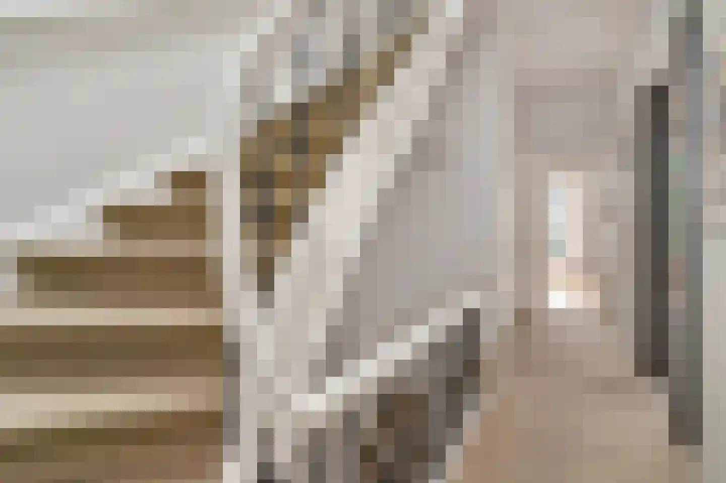 1e Sweelinckstraat 10 Den Haag thumbnail 33